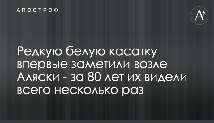 Рідкісну білу касатку вперше помітили біля Аляски - за 80 років їх бачили лише кілька разів