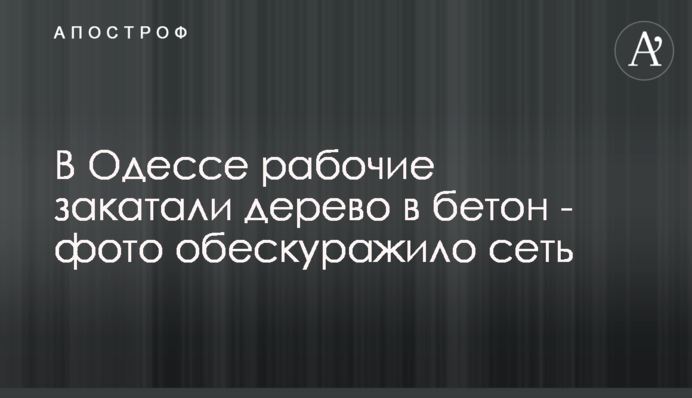 В Одесі робочі закатали дерево в бетон - фото збентежило мережу
