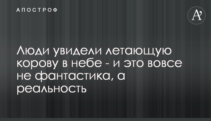 Люди побачили літаючу корову в небі - і це зовсім не фантастика, а реальність