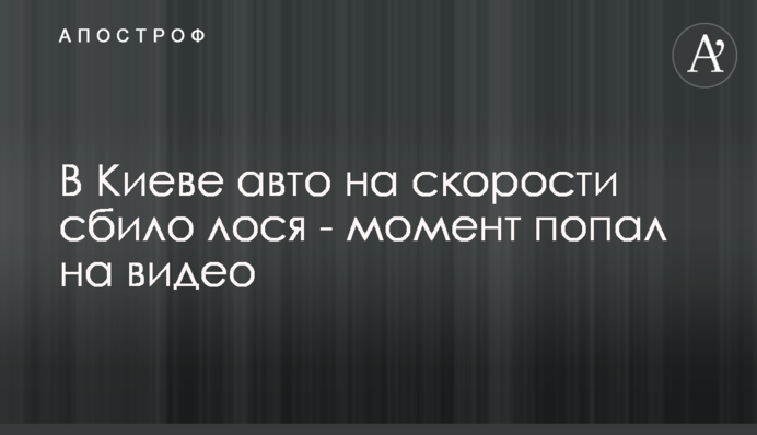 У Києві авто на швидкості збило лося - момент потрапив на відео