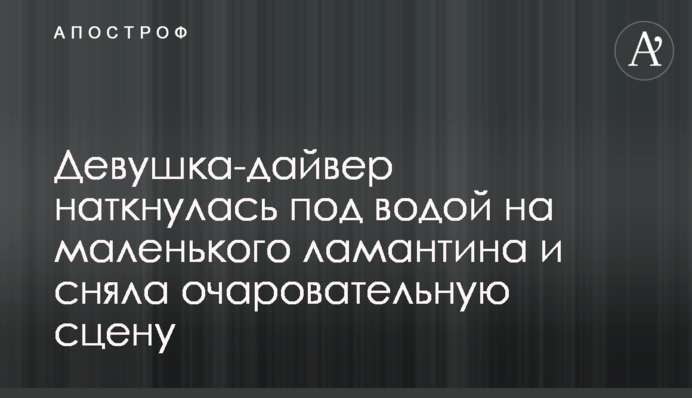 ​Дівчина-дайвер натрапила під водою на маленького ламантина і зняла чарівну сцену