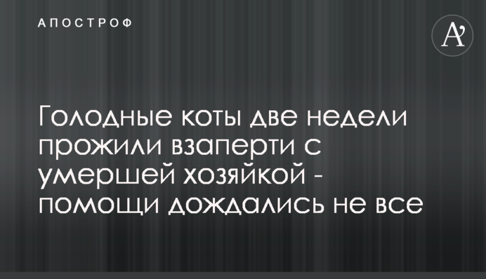 Голодні коти два тижні прожили під замком з померлою господинею - допомоги дочекалися не всі
