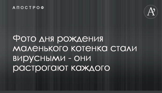Фото дня народження маленького кошеняти стали вірусними - вони зворушать кожного