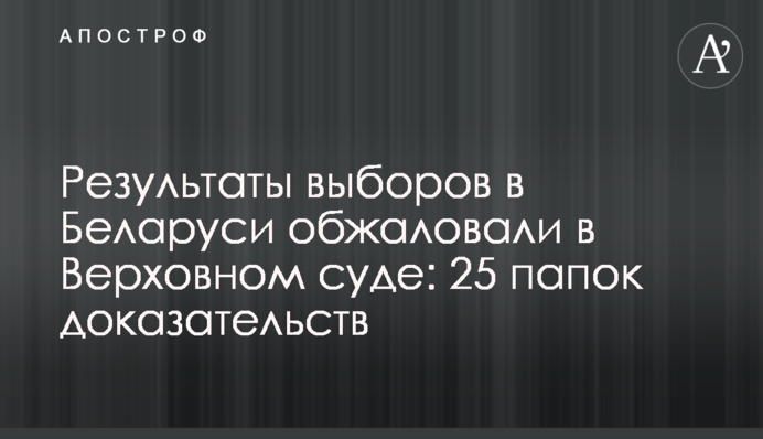 Результаты выборов в Беларуси обжаловали в Верховном суде: 25 папок доказательств