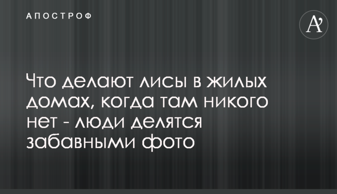 ​Що роблять лисиці в житлових будинках, коли там нікого немає - люди діляться кумедними фото