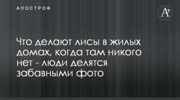 «Шаріте» - що за лікарня, куди доставлений Навальний