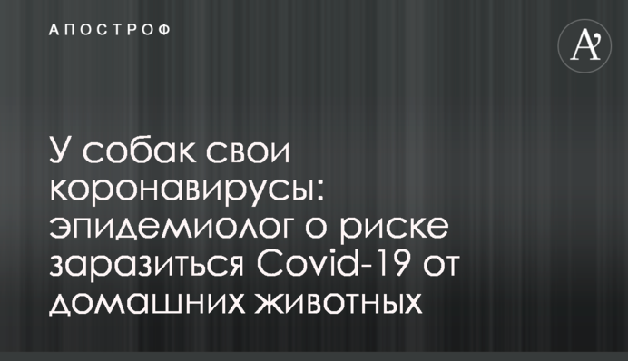 У собак свои коронавирусы: эпидемиолог о риске заразиться Covid-19 от домашних животных