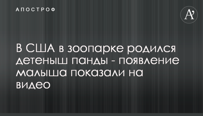 В США в зоопарке родился детеныш панды - появление малыша показали на видео