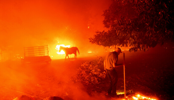 Калифорнию охватили лесные пожары: есть жертвы и десятки пострадавших