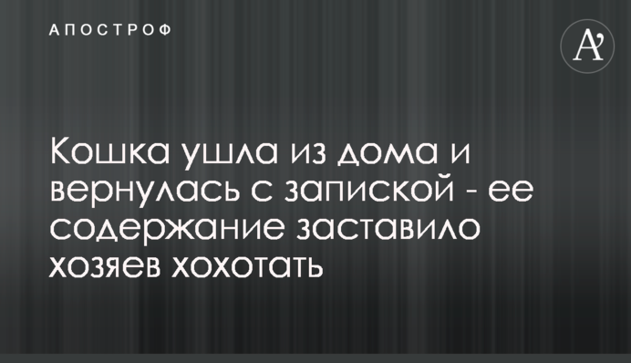 Кішка пішла з дому і повернулася з запискою - її зміст змусив господарів реготати