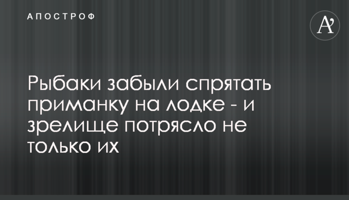 Рибалки забули заховати приманку на човні - і видовище вразило не тільки їх
