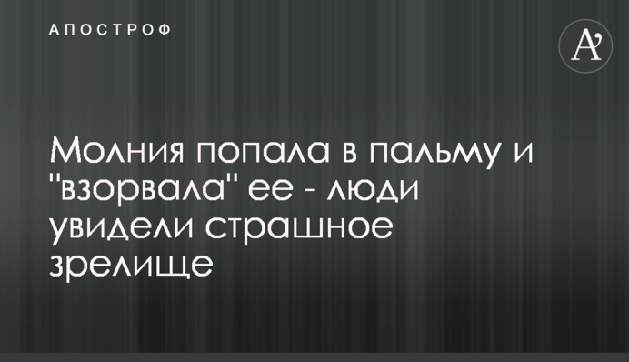 Молния попала в пальму и 