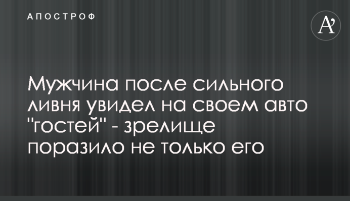 Мужчина после сильного ливня увидел на своем авто 