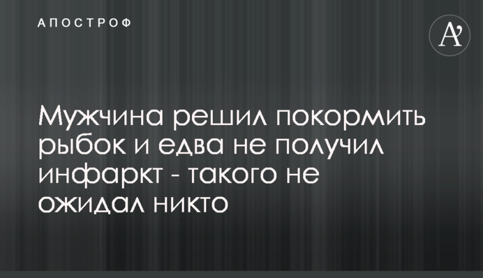 Чоловік вирішив погодувати рибок і ледь не отримав інфаркт - такого не очікував ніхто
