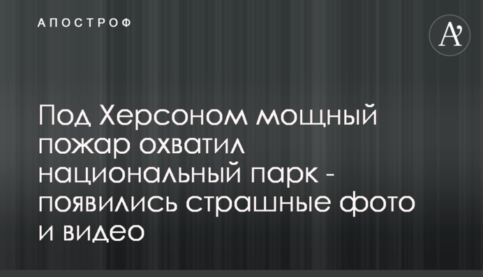 Под Херсоном мощный пожар охватил национальный парк - появились страшные фото и видео