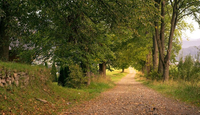 Лето и осень начали борьбу: синоптик рассказала, какой погоды ждать в Украине