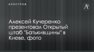 Олексій Кучеренко презентував Відкритий штаб "Батьківщини" в Києві, фото