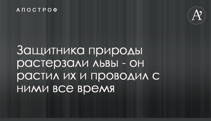 Захисника природи розтерзали леви - він ростив їх і проводив з ними весь час