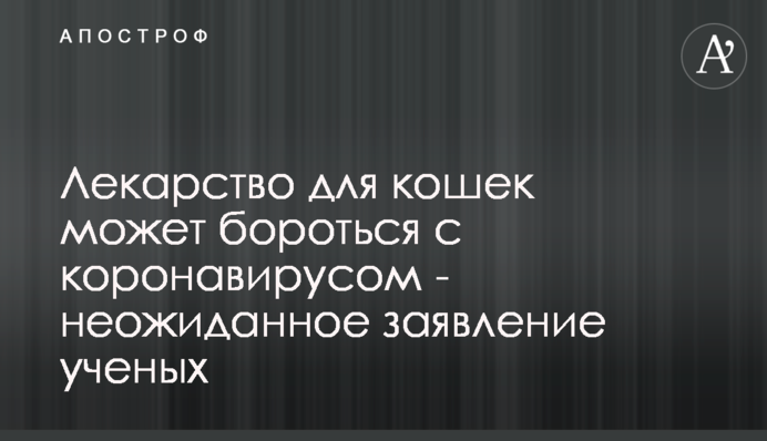 Ліки для кішок можуть боротися з коронавірусом - несподівана заява вчених