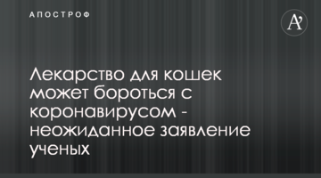 Ліки для кішок можуть боротися з коронавірусом - несподівана заява вчених