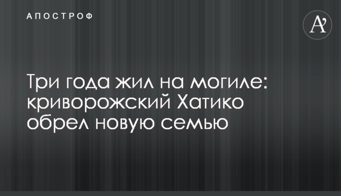 Три роки жив на могилі: криворізький Хатіко знайшов нову родину