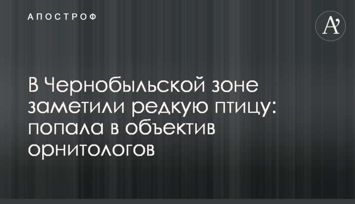У Чорнобильській зоні помітили рідкісного птаха: потрапив в об'єктив орнітологів