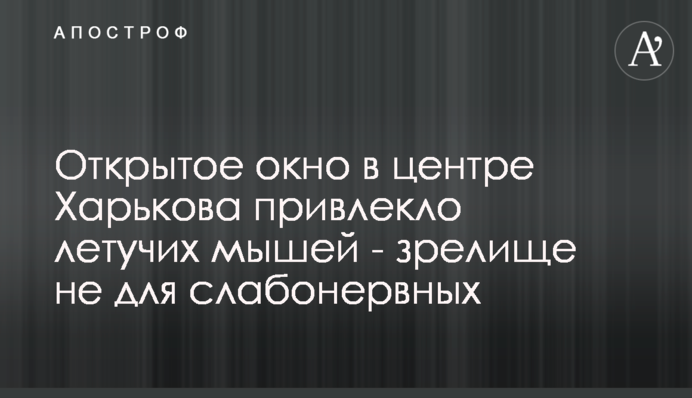 Відкрите вікно в центрі Харкова привернуло кажанів - видовище не для людей зі слабкими нервами