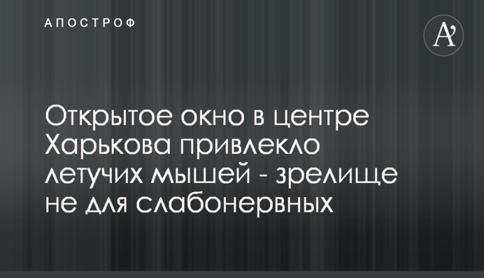​Глава Черкас Бондаренко відреагував на обшуки у мерії