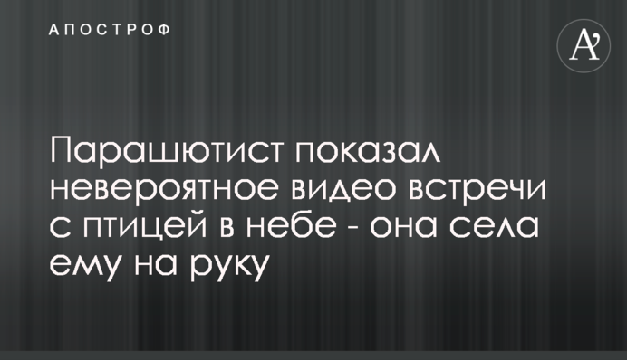 Парашутист показав неймовірне відео зустрічі з птахом в небі - він сів йому на руку
