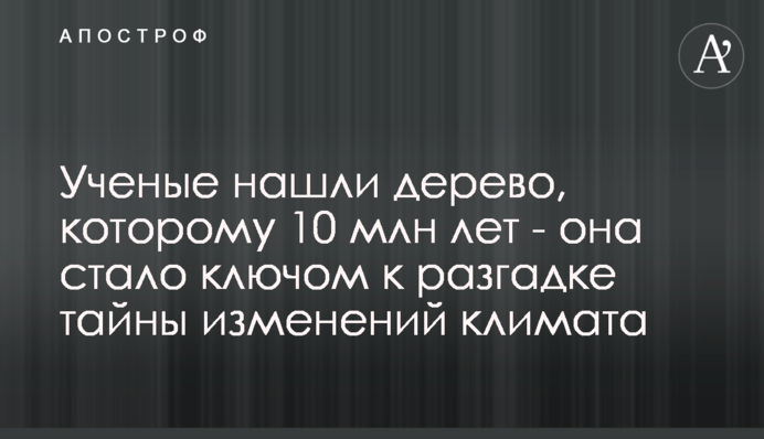 Вчені знайшли дерево, якому 10 млн років - воно стало ключем до розгадки таємниці змін клімату