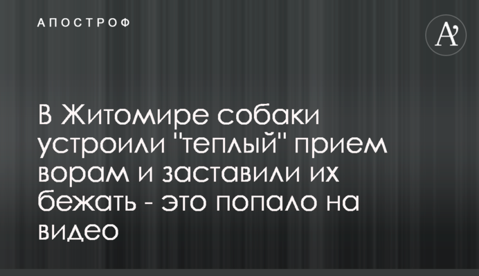 У Житомирі собаки влаштували 