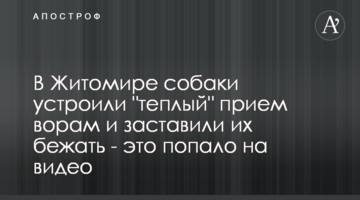 В Житомире собаки устроили "теплый" прием ворам и заставили их бежать - это попало на видео