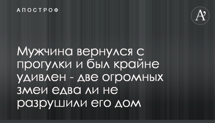 Чоловік повернувся з прогулянки і був украй здивований - дві величезні змії ледь не зруйнували його будинок