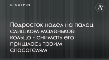 Минюст подтвердил экспертизы в деле Шеремета, дело передано в суд - политолог