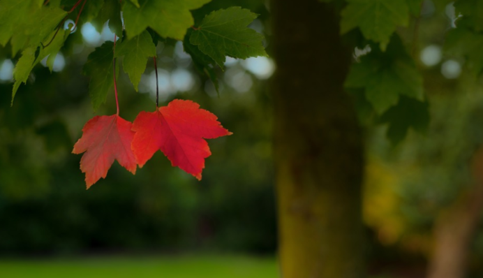 Різниця температур буде дуже великою: синоптик дав прогноз погоди в Україні на вересень