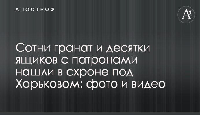 Сотні гранат і десятки ящиків з патронами знайшли в схроні під Харковом: фото і відео