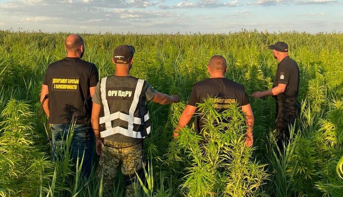 Під Одесою прикордонники були здивовані тим, що виявили в очеретах: відео з квадрокоптера