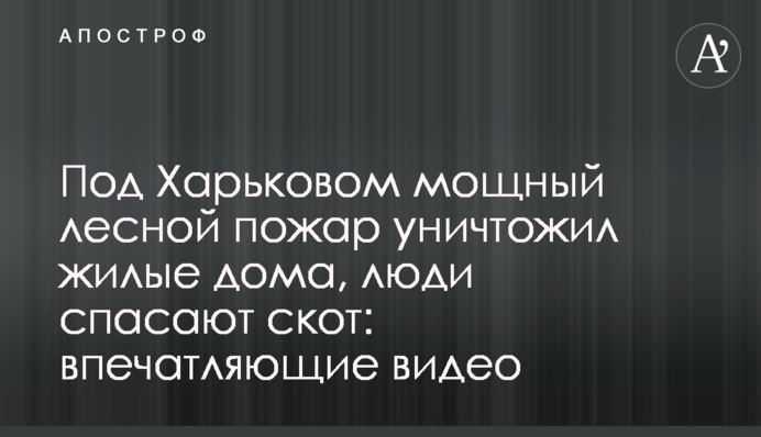 ​Під Харковом лісова пожежа знищила житлові будинки, люди рятують худобу: вражаючі відео
