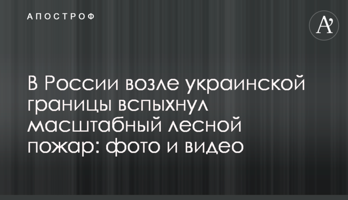 У Росії біля українського кордону спалахнула масштабна лісова пожежа: фото і відео