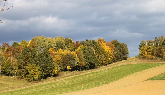 Дожди, грозы и снова жара: синоптик рассказала о погоде в Украине на выходных