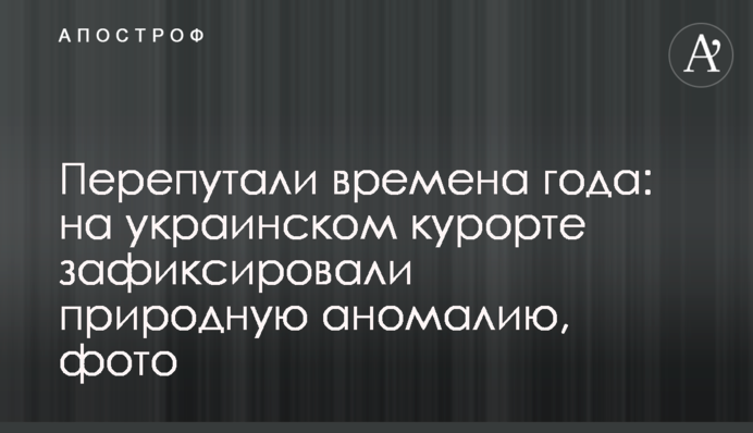 Перепутали времена года: на украинском курорте зафиксировали природную аномалию, фото