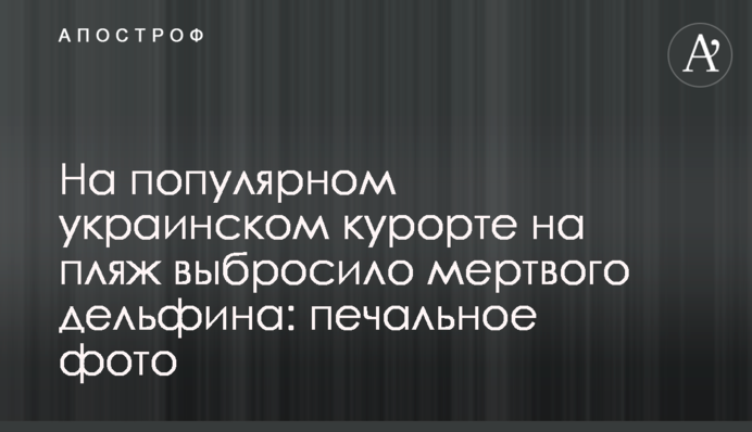 На популярном украинском курорте на пляж выбросило мертвого дельфина: печальное фото