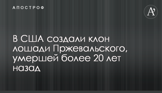 В США создали клон лошади Пржевальского, умершей более 20 лет назад