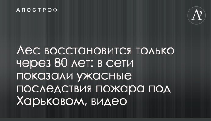 Ліс відновиться тільки через 80 років: в мережі показали жахливі наслідки пожежі під Харковом, відео