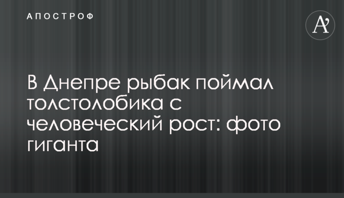 У Дніпрі рибалка зловив товстолобика з людський зріст: фото гіганта