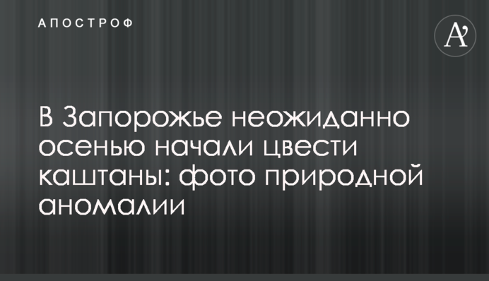 У Запоріжжі несподівано восени почали цвісти каштани: фото природної аномалії