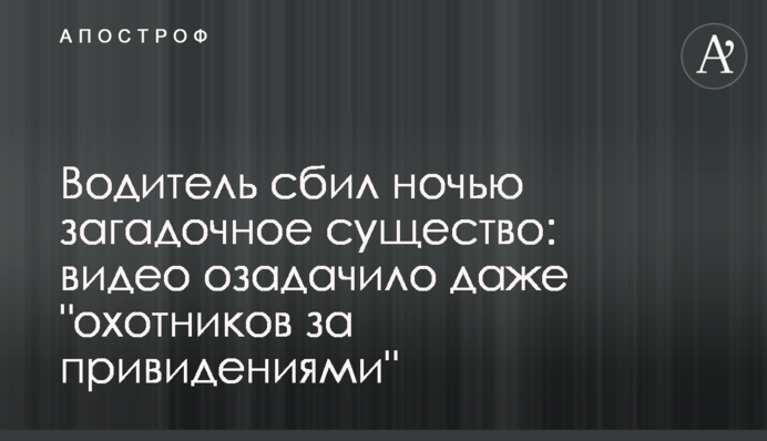 Водитель сбил ночью загадочное существо: видео озадачило даже 