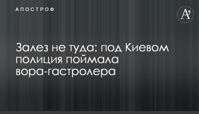 Залез не туда: под Киевом полиция поймала вора-гастролера