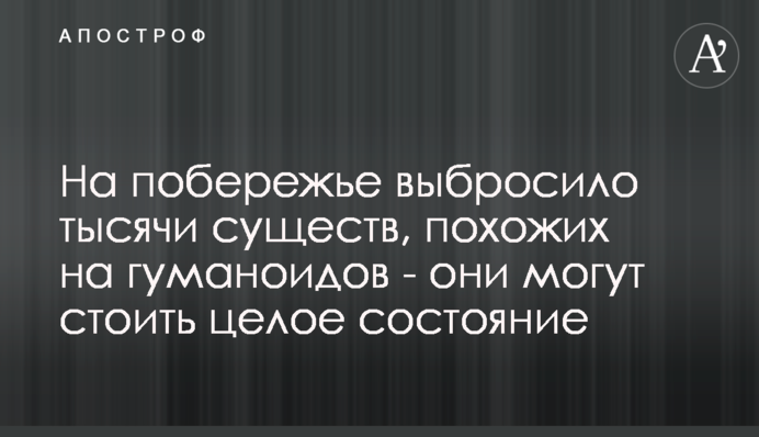 На побережье выбросило тысячи существ, похожих на гуманоидов - они могут стоить целое состояние