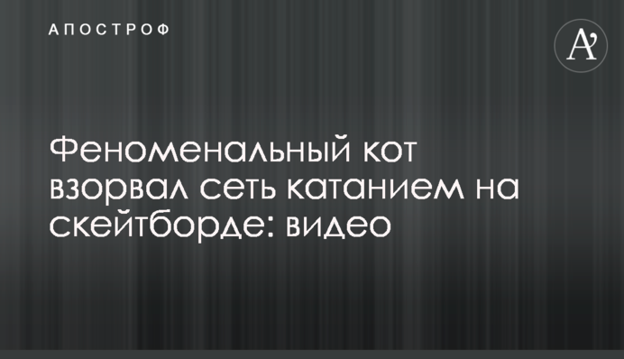 Феноменальный кот взорвал сеть катанием на скейтборде: видео
